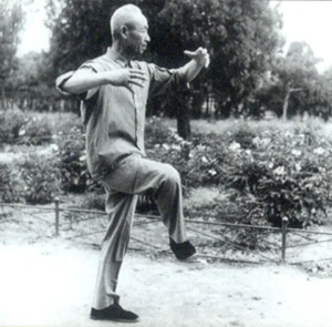 yi quan